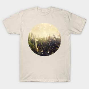 Hidden in the Magic Garden T-Shirt